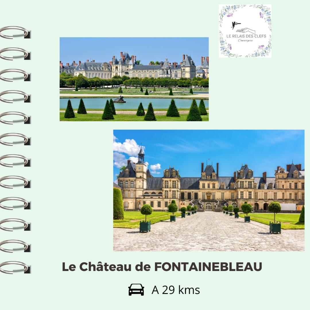 Le Relais Des Clefs - Au Calme Du Gatinais - Escapade A Deux - Terrasse Privee - Wifi - Offre Romantique Sur Demande Valpuiseaux Kültér fotó