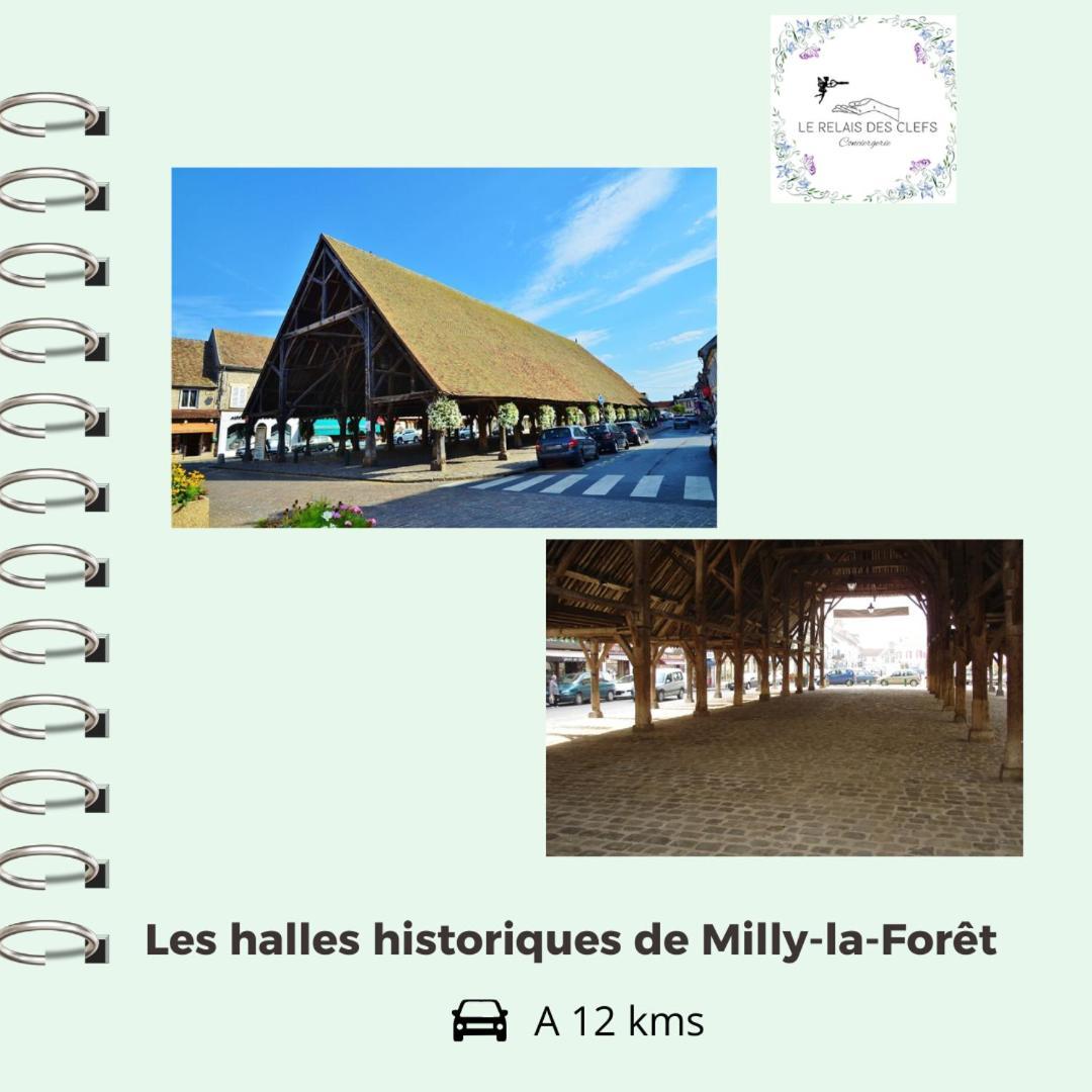 Le Relais Des Clefs - Au Calme Du Gatinais - Escapade A Deux - Terrasse Privee - Wifi - Offre Romantique Sur Demande Valpuiseaux Kültér fotó